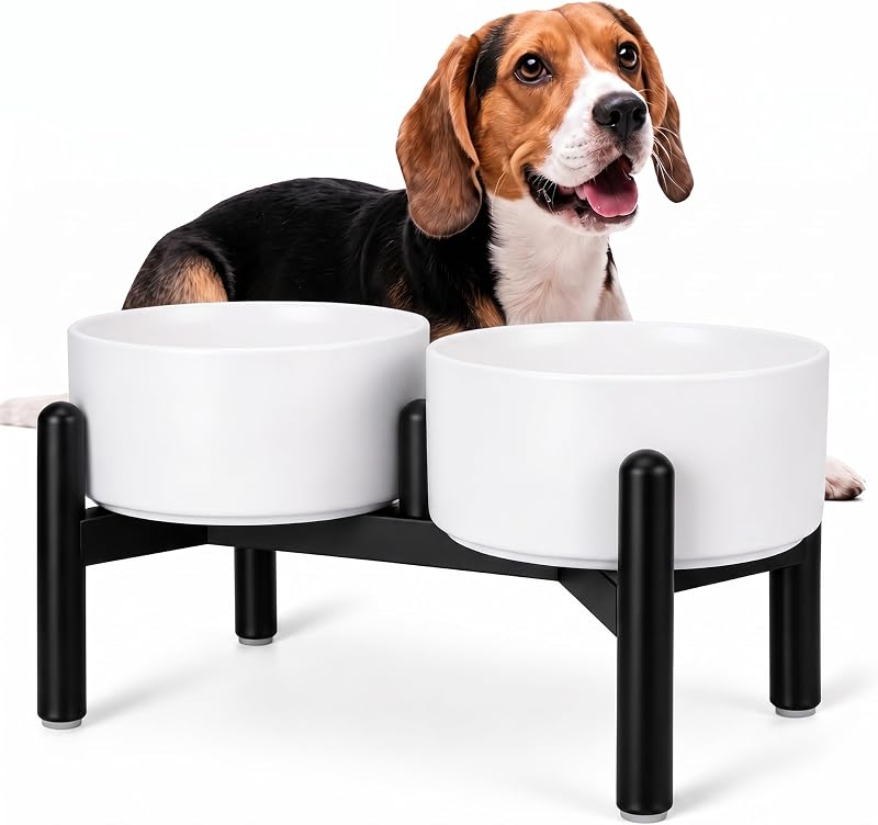 Comedouro Elevado para Cães em Cerâmica PTOBER com Suporte de Aço Inoxidável, 660 mL