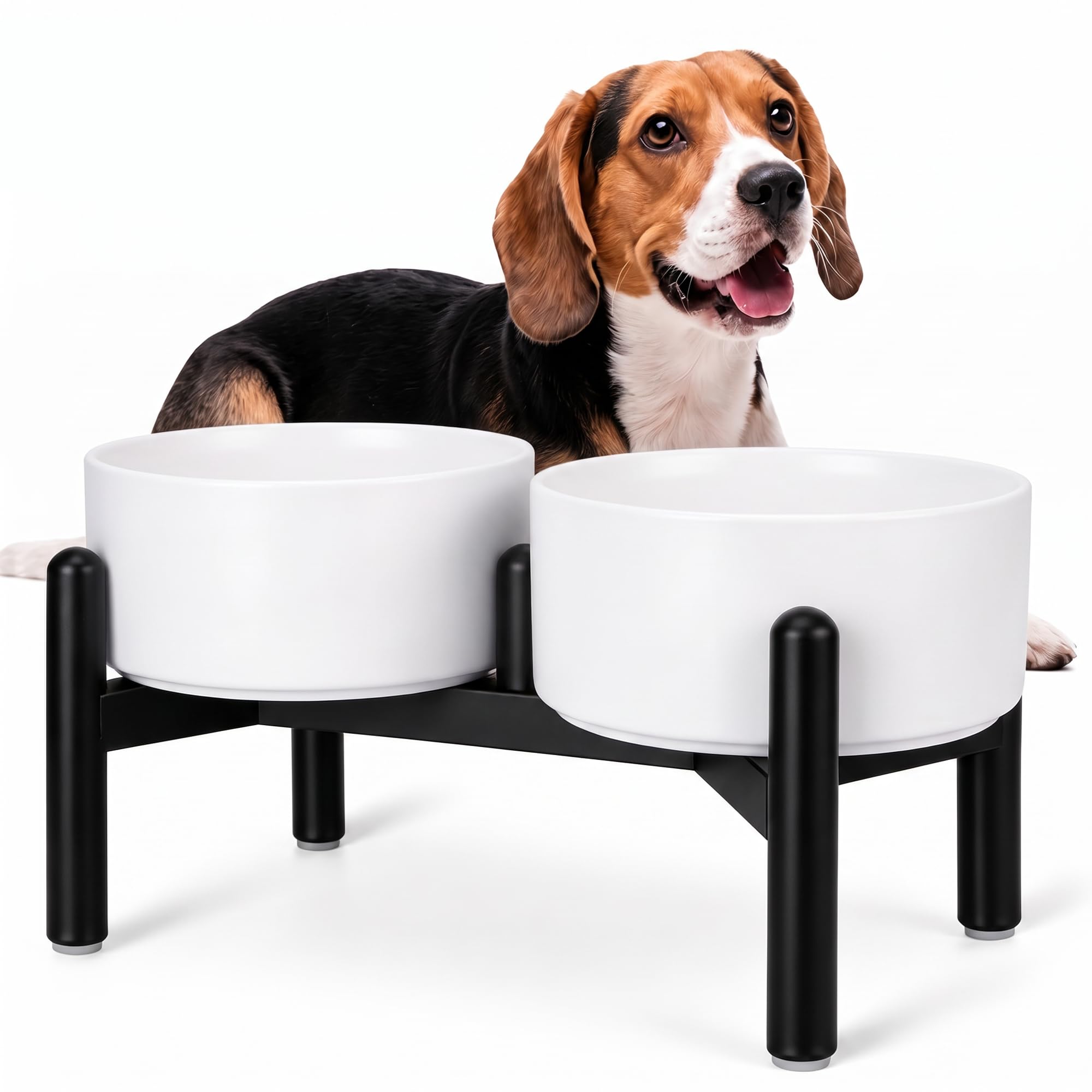 Raised Ceramic Dog Bowl Set with Stand