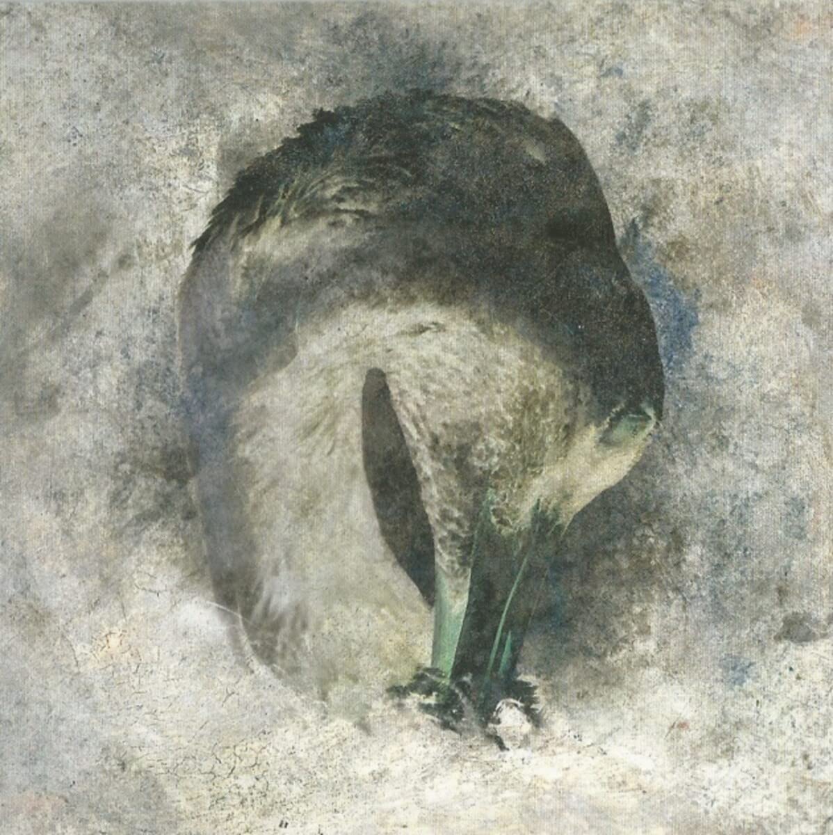 Suma Ashes CD SUMA03 NEW