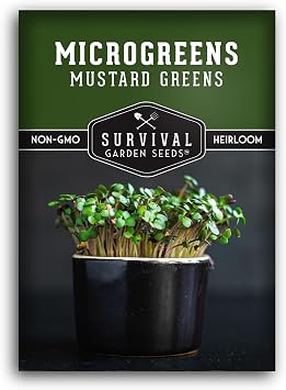 Mustard Microgreen Seeds for Sprouting - 1 Pack