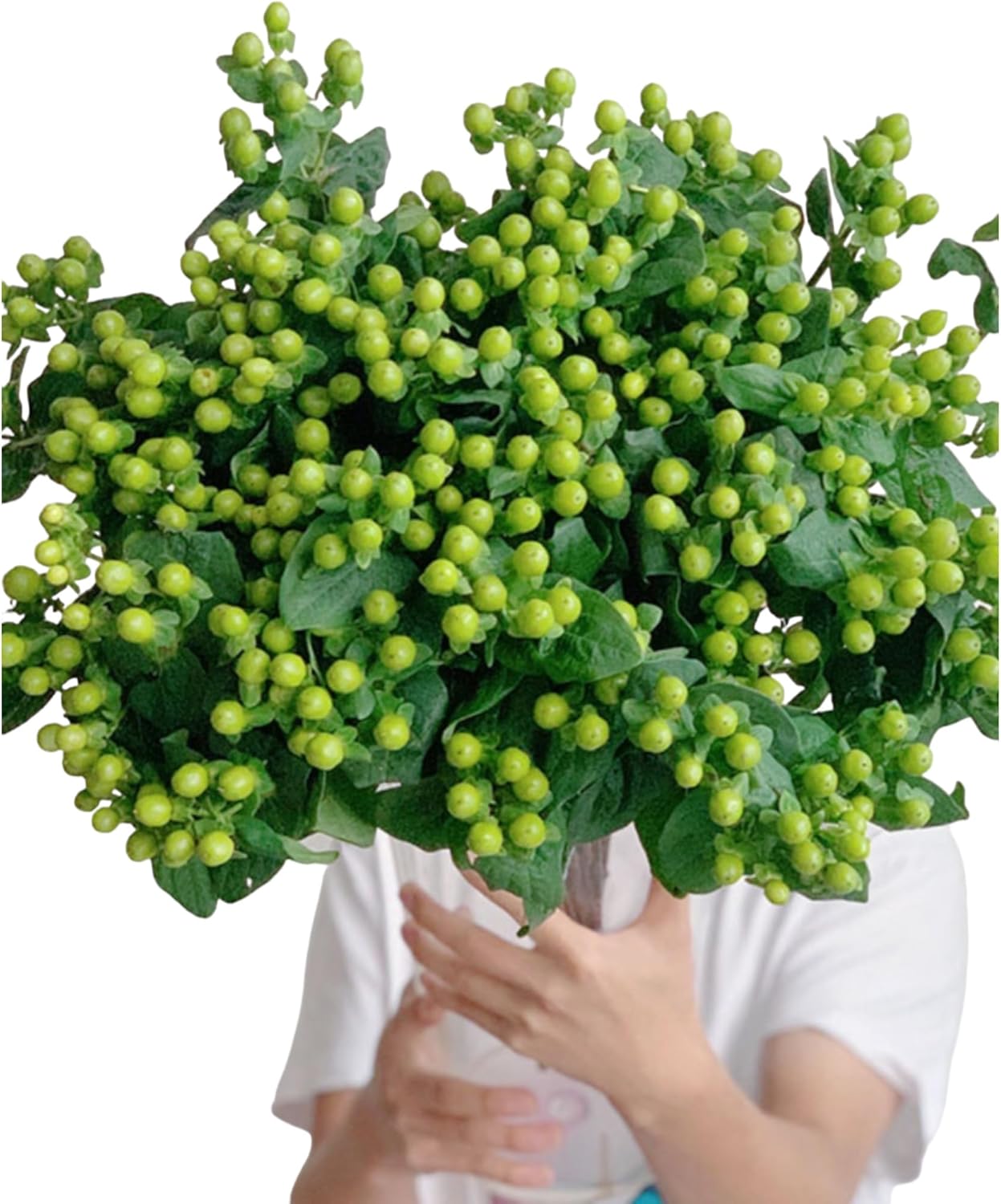 19 Green Bean Fresh Cut Flower Bouquet Prime Delivery Gifts for Birthday Anniversary Friendship and Love
