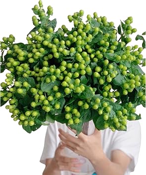 19 Green Bean Fresh Cut Flower Bouquet Prime Delivery Gifts for Birthday Anniversary Friendship and Love
