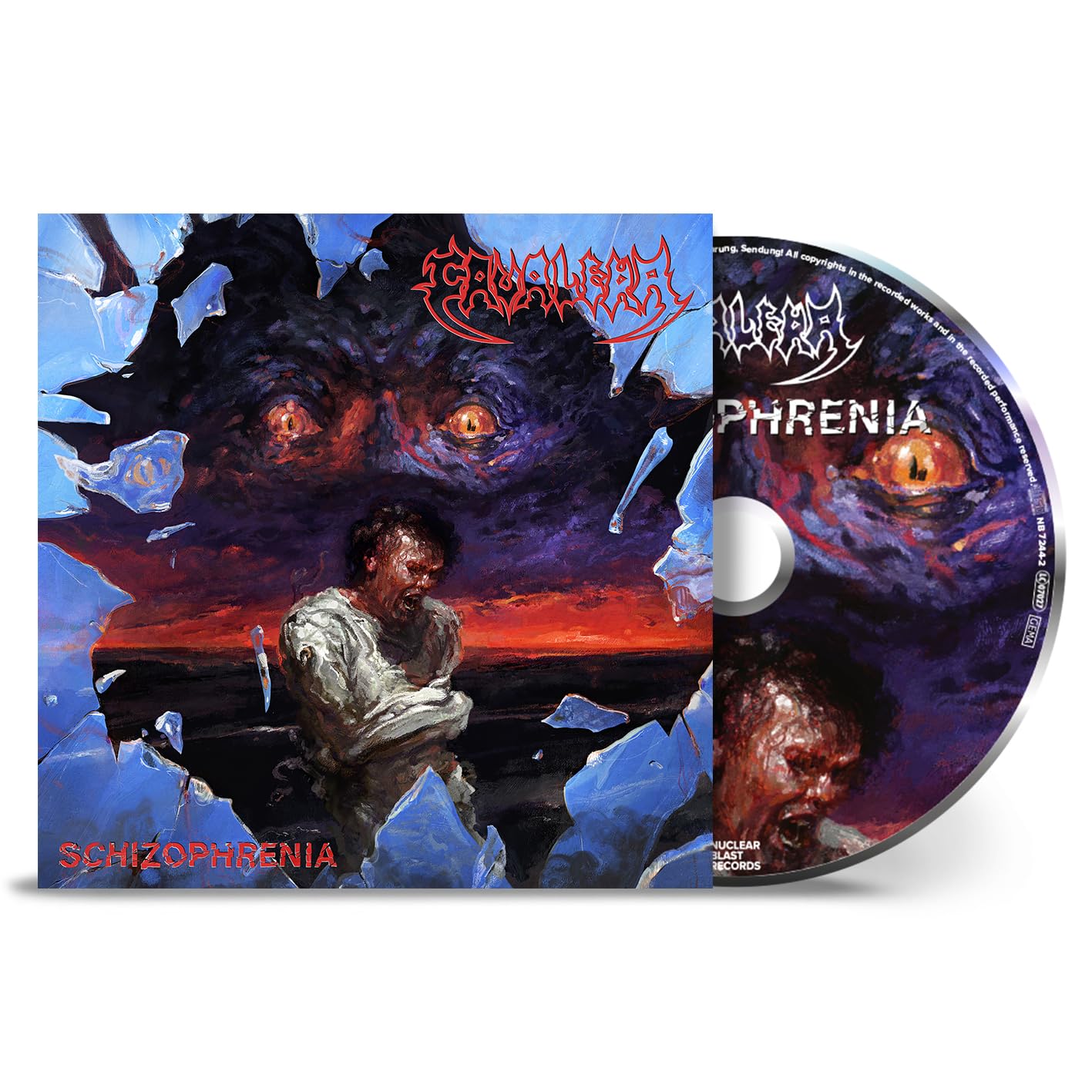 Vinyl Castle Schizophrenia