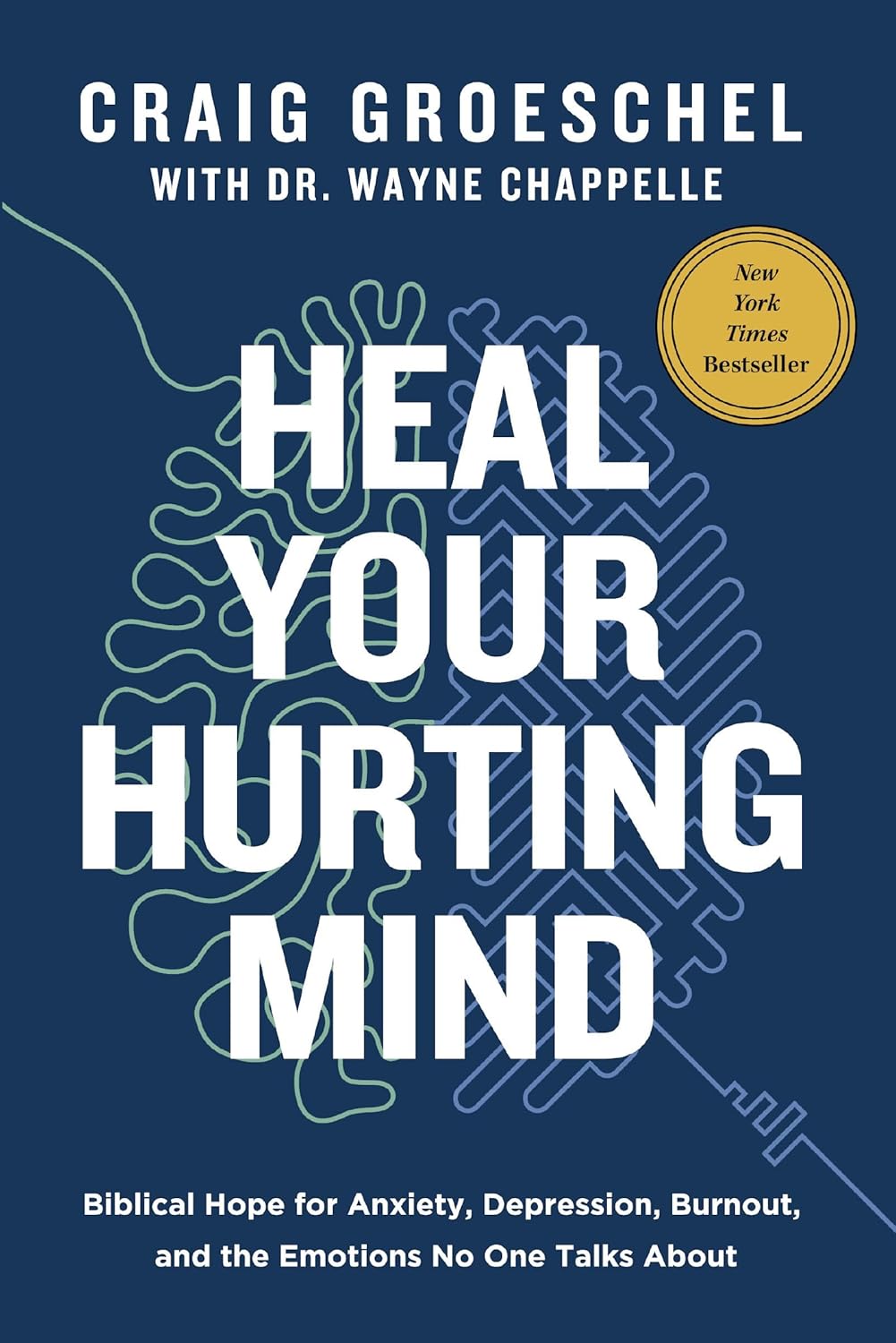 Heal Your Hurting Mind: Biblical Hope for Anxiety, Depression, Burnout, and the Emotions No One Talks About      Hardcover – February 17, 2026