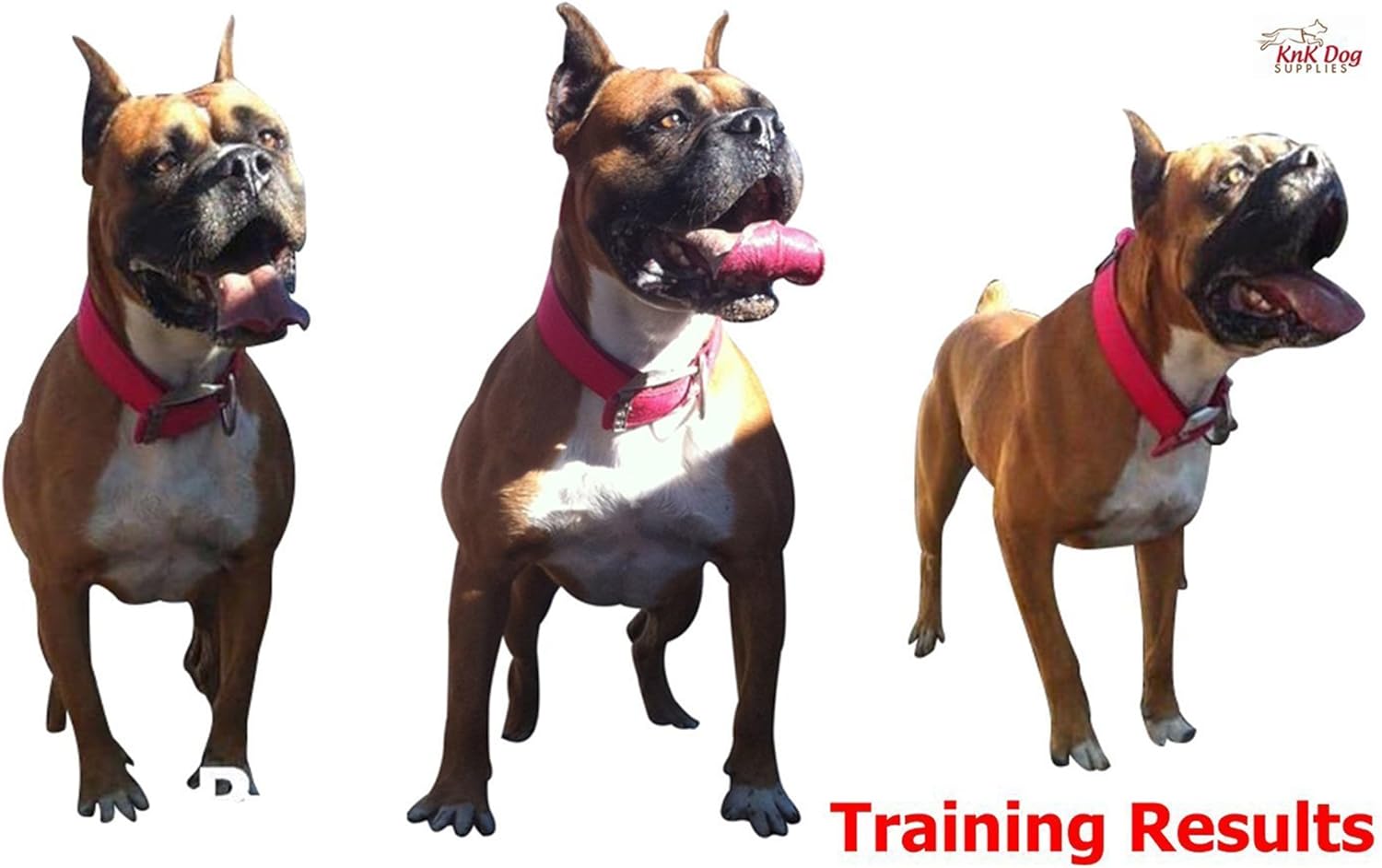 dog weight pulling harness amazon