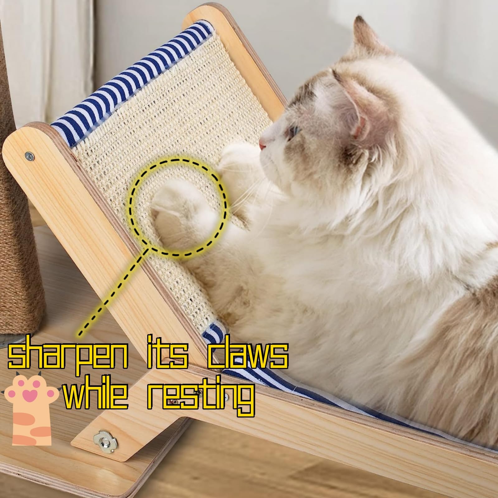 https://m.media-amazon.com/images/I/71dNQ0zHrML.jpg