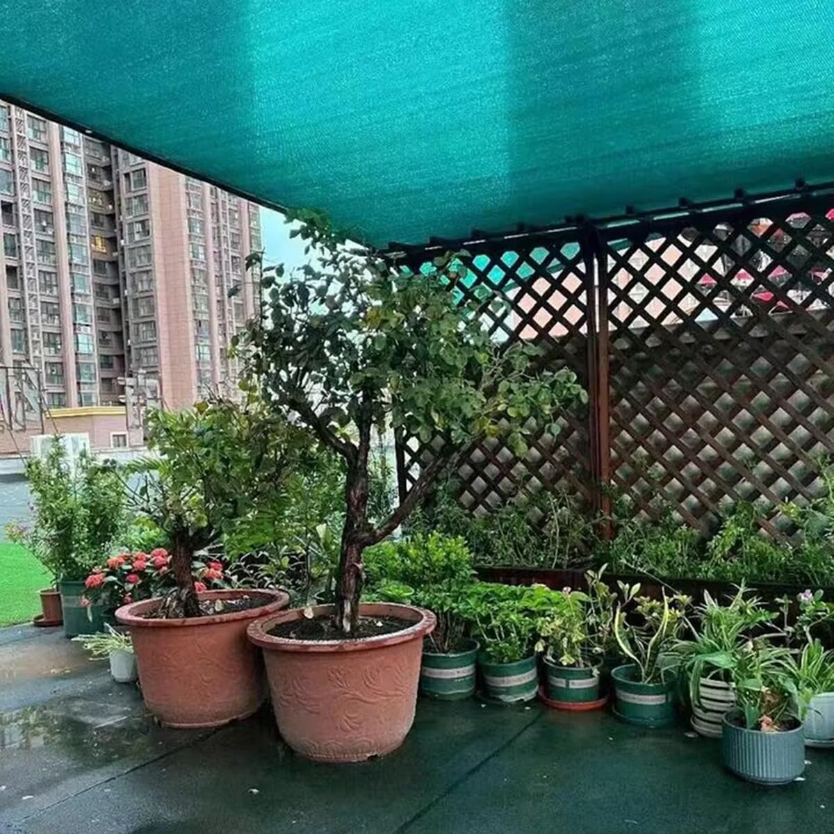 Tasso di ombreggiatura 90% Rete Ombreggiante Verde Tessuto Ombra Protezione Dai Raggi UV Telone Ombreggiante Parasole per Esterni Terrazza Pergola Serra 1x2m 2x3.0m 4x5m 6x7m 8x9m 9x10m(2X5m)