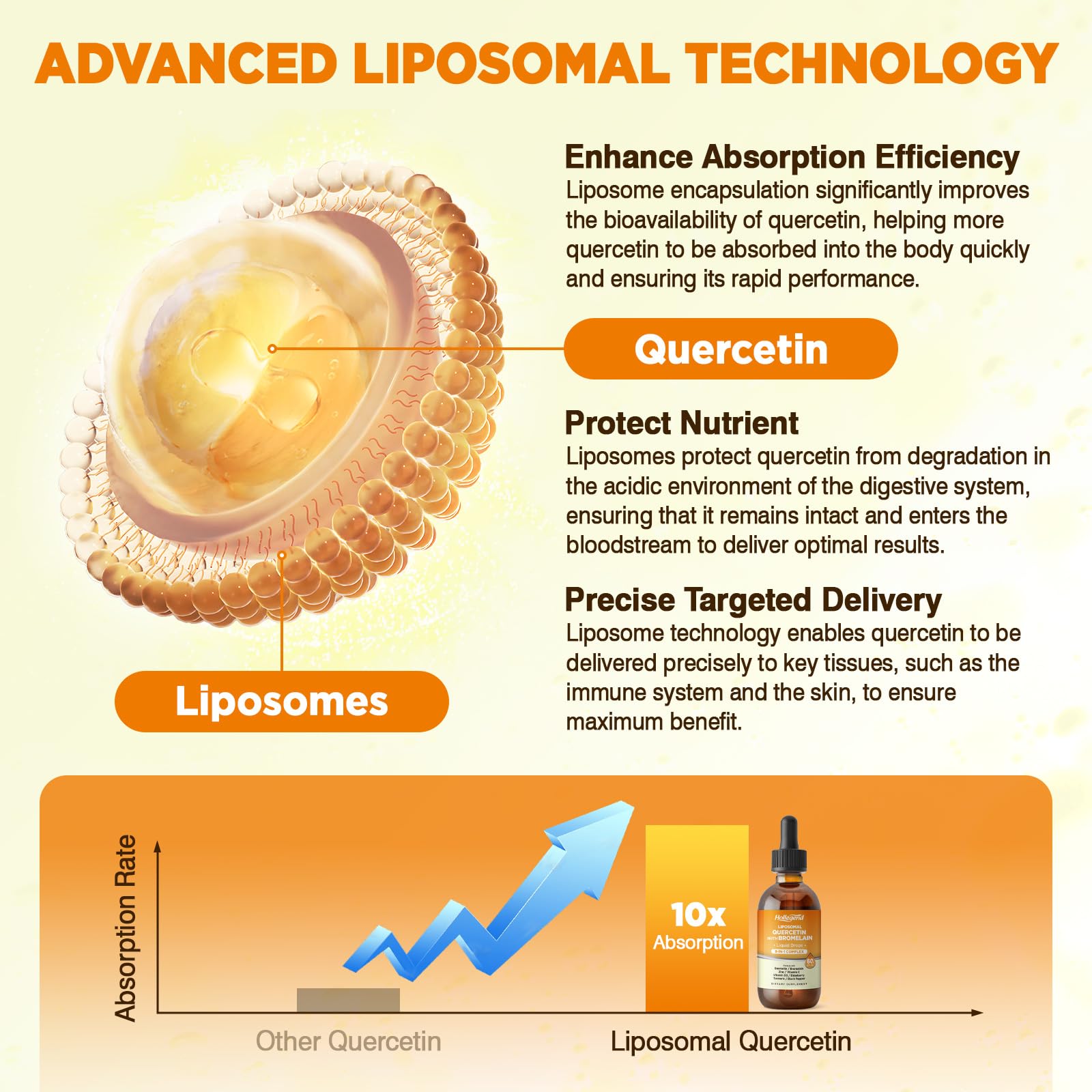 Liposomal Quercetin with Bromelain Liquid Drops for Immune Health, 2 Fl Oz — Amazon image 5