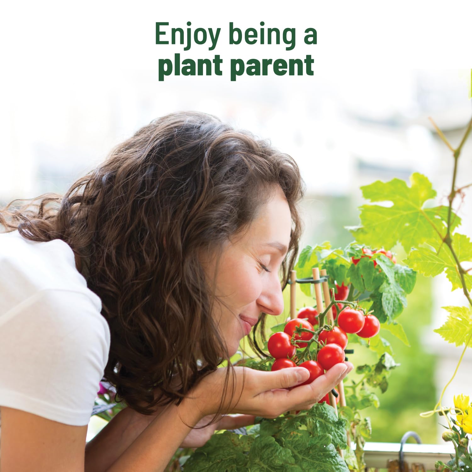 Pot and Bloom Cherry Tomato Grow Kit with Garden Essentials for Home 3