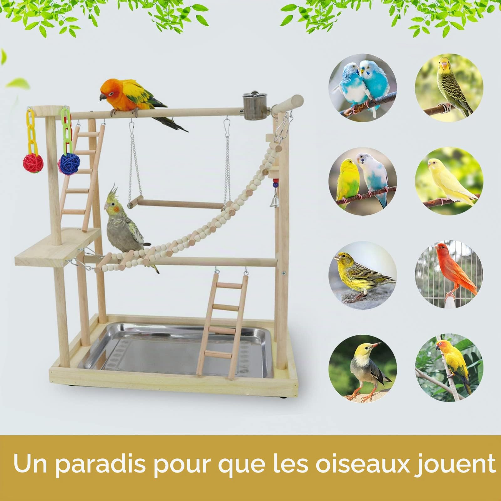 Joyeux grand ensemble d'aire de jeux pour perruches Bol de nourriture en acier, balançoire, échelle en bois, jouet coloré en rotin, plateau en acier