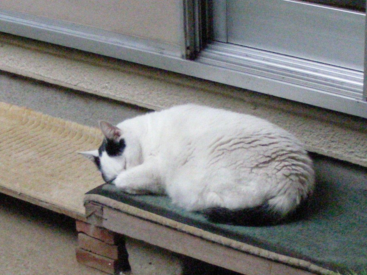 お客様イメージ