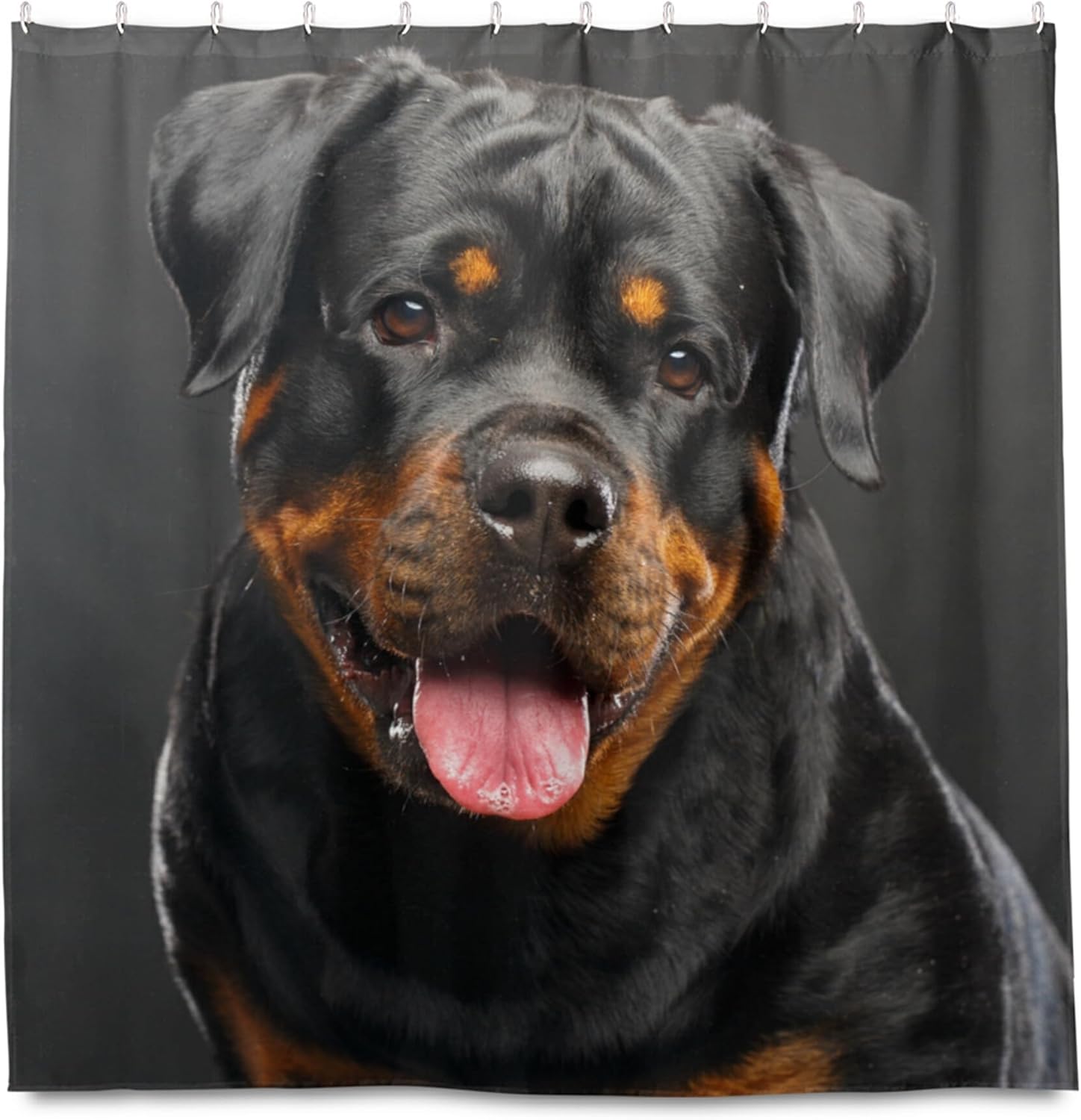Hokkien Rottweiler Dog Home Decorations Shower Curtain 72 x 72 inch Waterproof Polyester for Bathroom Shower Curtain Set with Hooks