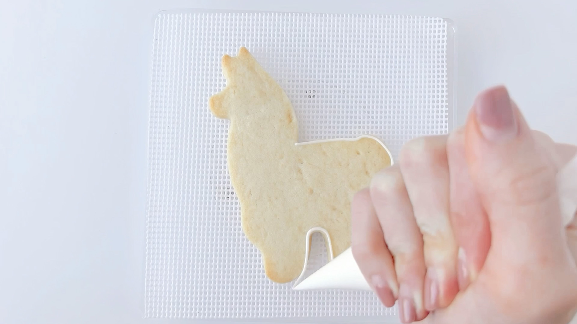 Ann Clark Cookie Cutters 4-delige Lama en Cactus Koekjesvormset met Receptenboek