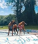 Review Image by Quiteno John Quiteno John