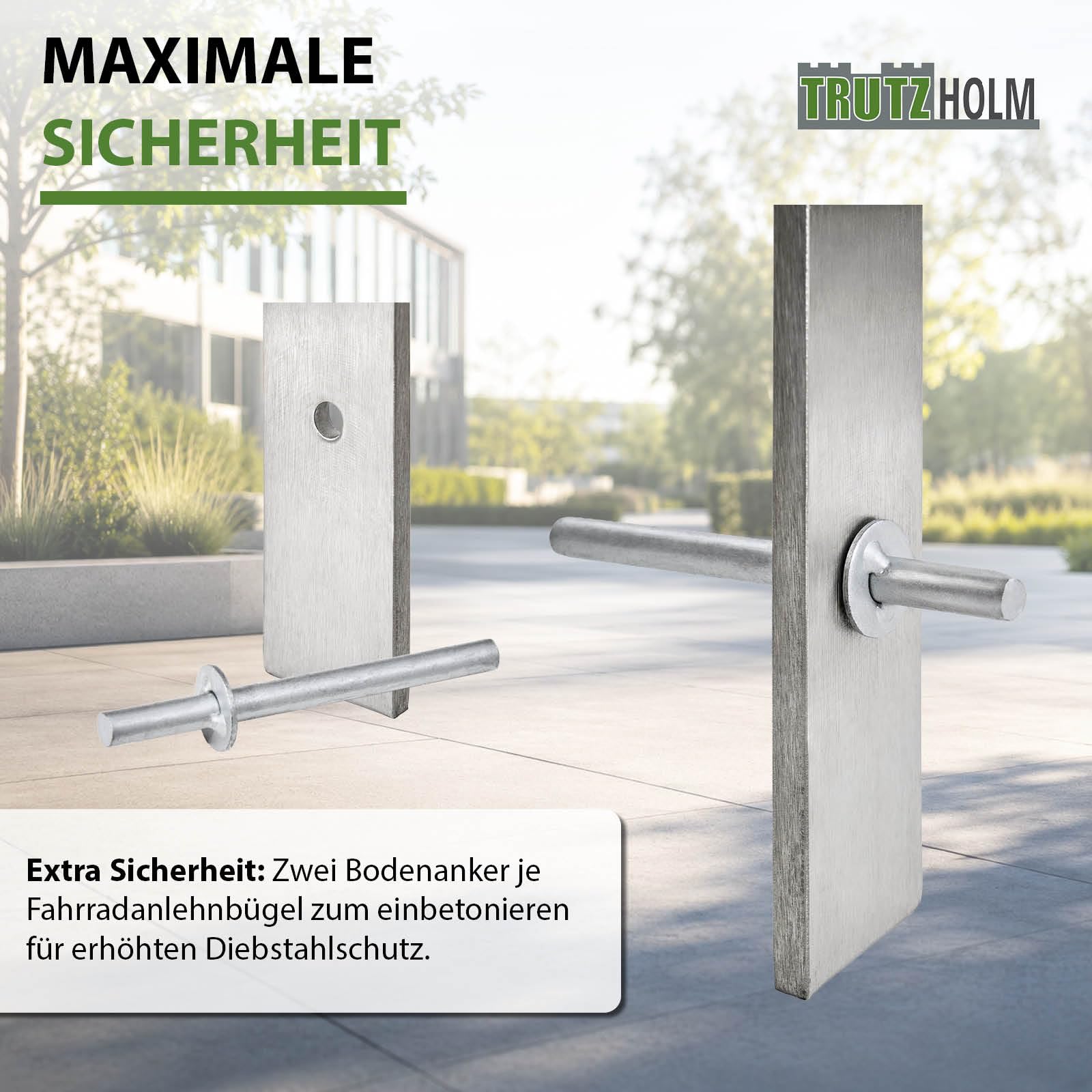 TRUTZHOLM 2x Fahrradanlehnbügel 117x80 cm Flachstahl massiver Edelstahl