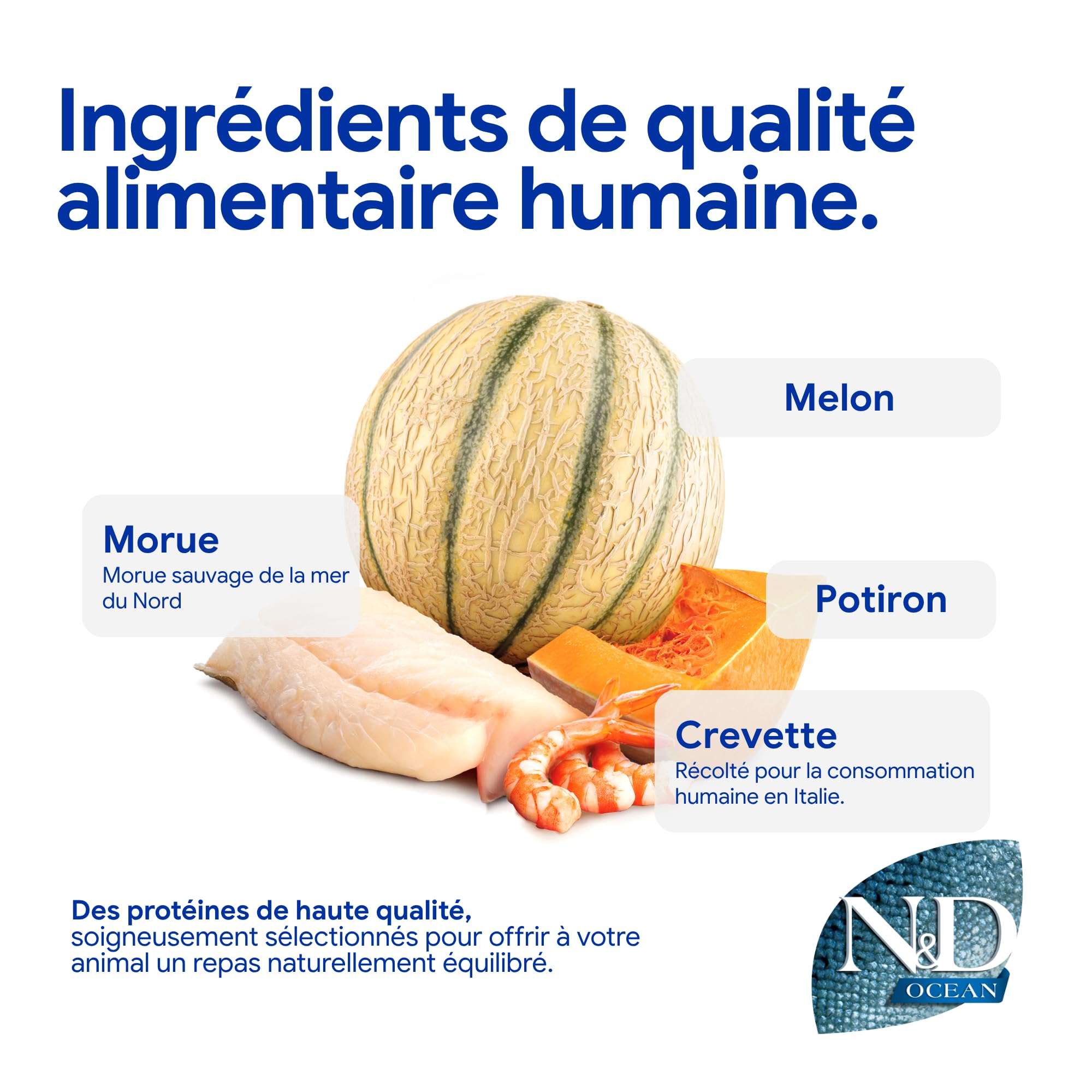 N&D Ocean Morue, Crevette, Potiron & Melon Chaton 5.00 kg