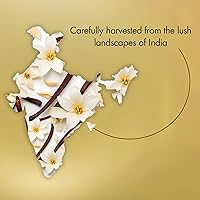 Vista 361 de Majestic Pure Essential Oil with Glass Dropper - 100% Pure and Natural - Essential Oils for Diffuser, Aromatherapy, Soap and Candle Making, BlackSeed