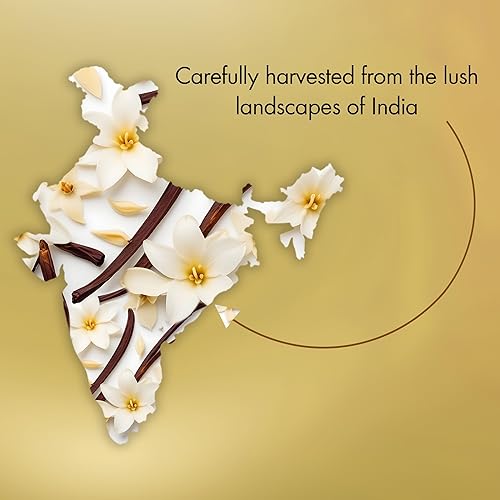 Miniatura 174 de Majestic Pure Aceite esencial de lavanda 100% puro para aromaterapia, masaje y usos tópicos, perfecto para difusor y difusor de aceites esenciales