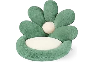 Ditucu Flower Shape Chair Pillow: Dorm Room Decor Essential