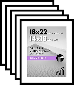 Americanflat 18x22 Poster Frame 5-Pack - Matted to 14x18 - Black