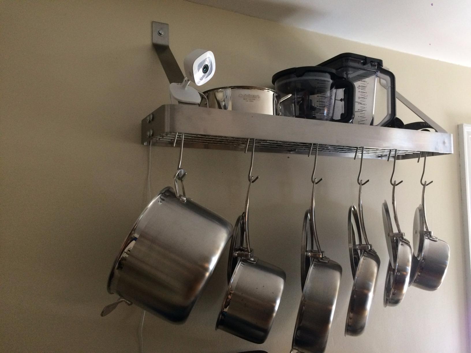 my unblinking telepathic watchbird