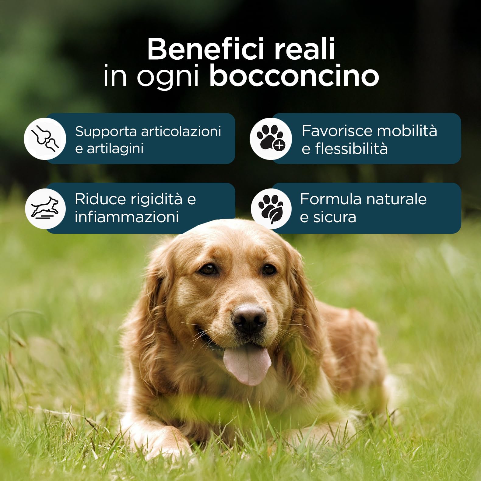 Integratore Articolazioni per Cani | 60 Bocconcini Naturali al Gusto Manzo | Supporto per Mobilità, Cartilagini, Articolazioni e Ossa | Con Glucosamina, Condroitina, MSM e Curcumina