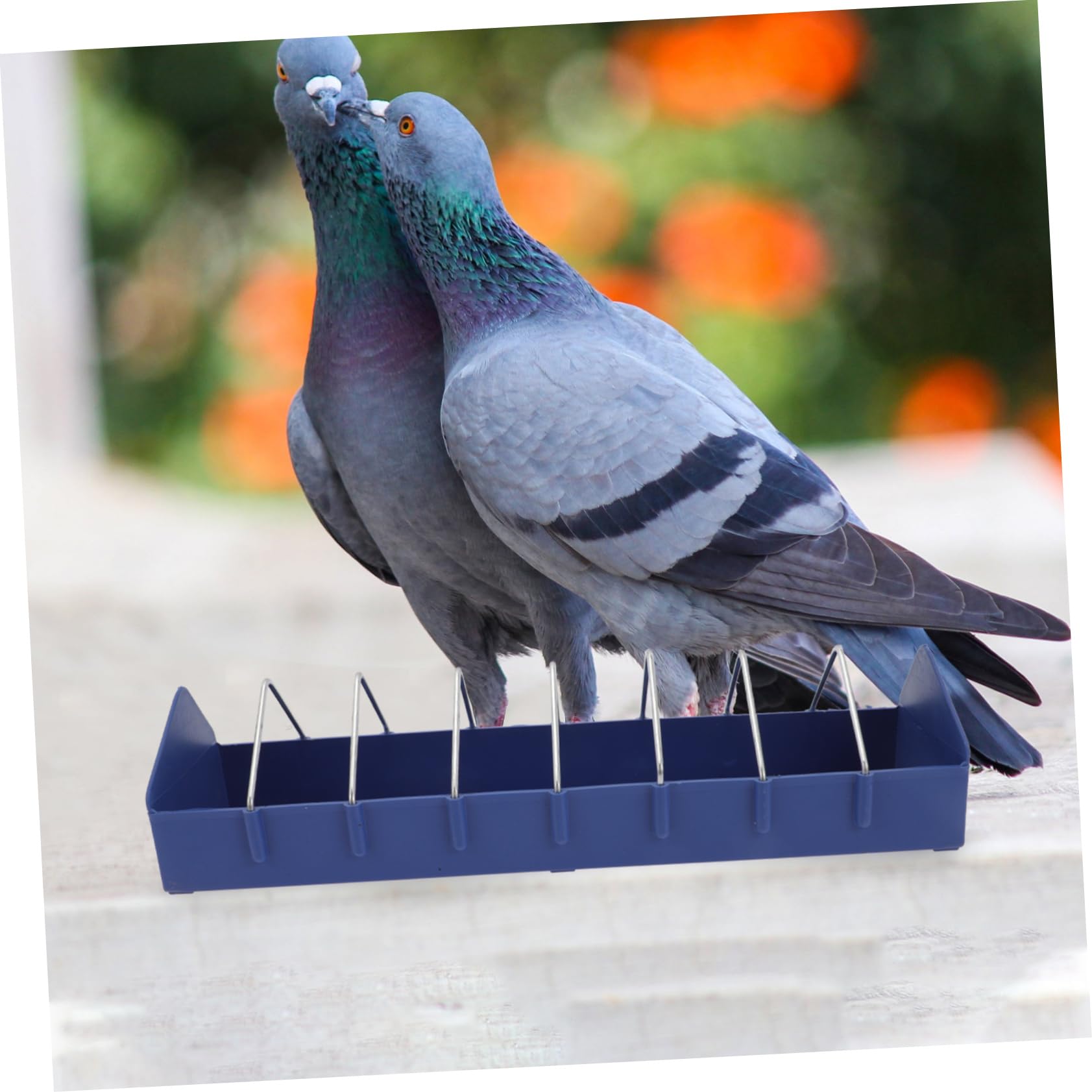 TOGEVAL Futterrinne Für Tauben Hühner - 40cm Vogel Futtertröge Aus Kunststoff