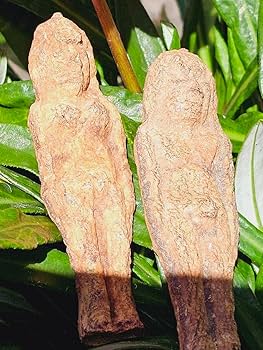 特級呪物✡️ナリーポンとマカリーポンのセット Amazon.co.jp: 特級呪物 ナリーポンとマカリーポンのセット