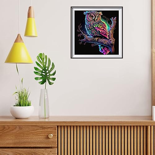 Miniatura 4 de Kits de pintura de diamantes 5D coloridos búho DIY diamante taladro redondo completo pintura de diamante para adultos, kit de pintura con accesorios