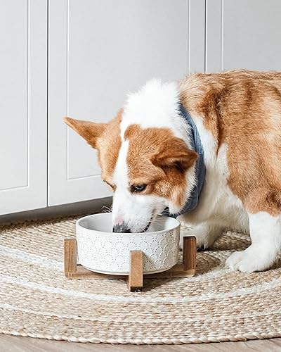 Miniatura 5 de LE TAUCI Cuencos de comida para perros, 3 tazas de cerámica para perros con soporte de madera de acacia, cuenco de agua para perros pequeños y