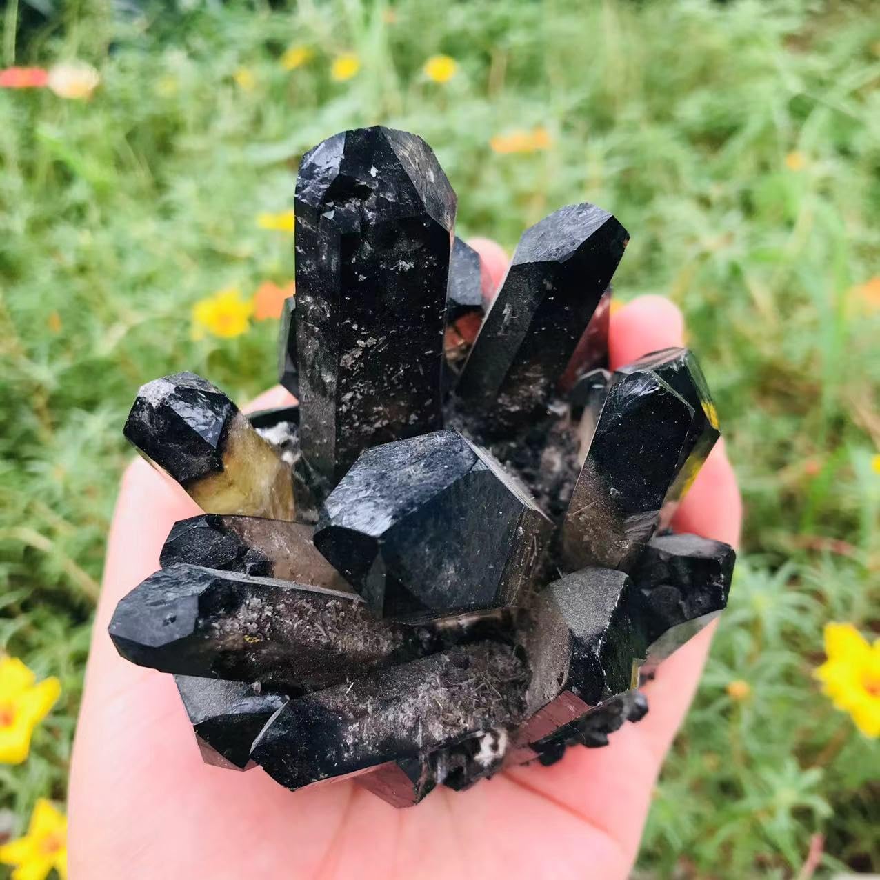 Natural Black Smoky Quartz Cluster Raw Unique Crystal Cluster Healing Stone for Decoration 1pc (560g-750g)