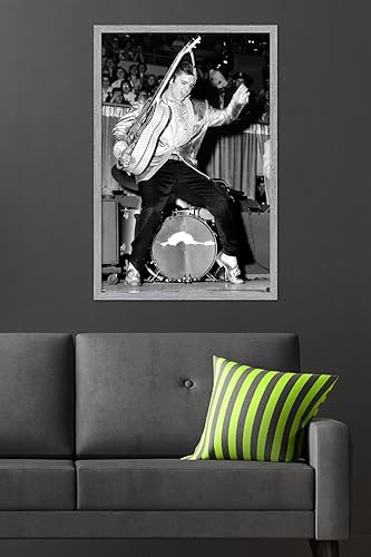 Miniatura 10 de Trends International Elvis Presley - Póster de pared de caderas