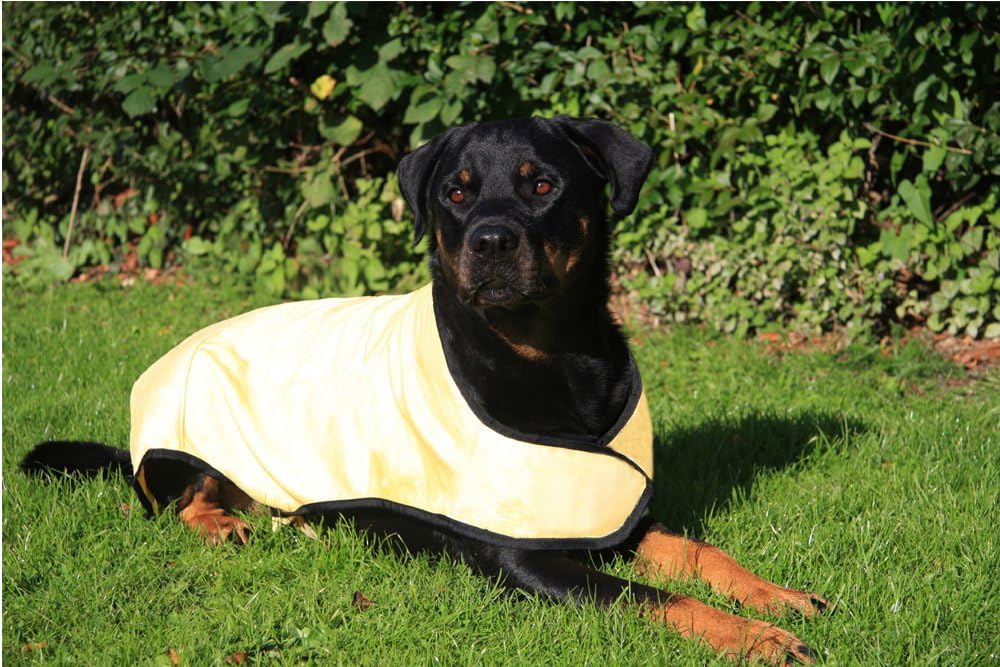 Prestige cool Coat for Dogs, XL, Yellow Amazon.co.uk Pet Supplies