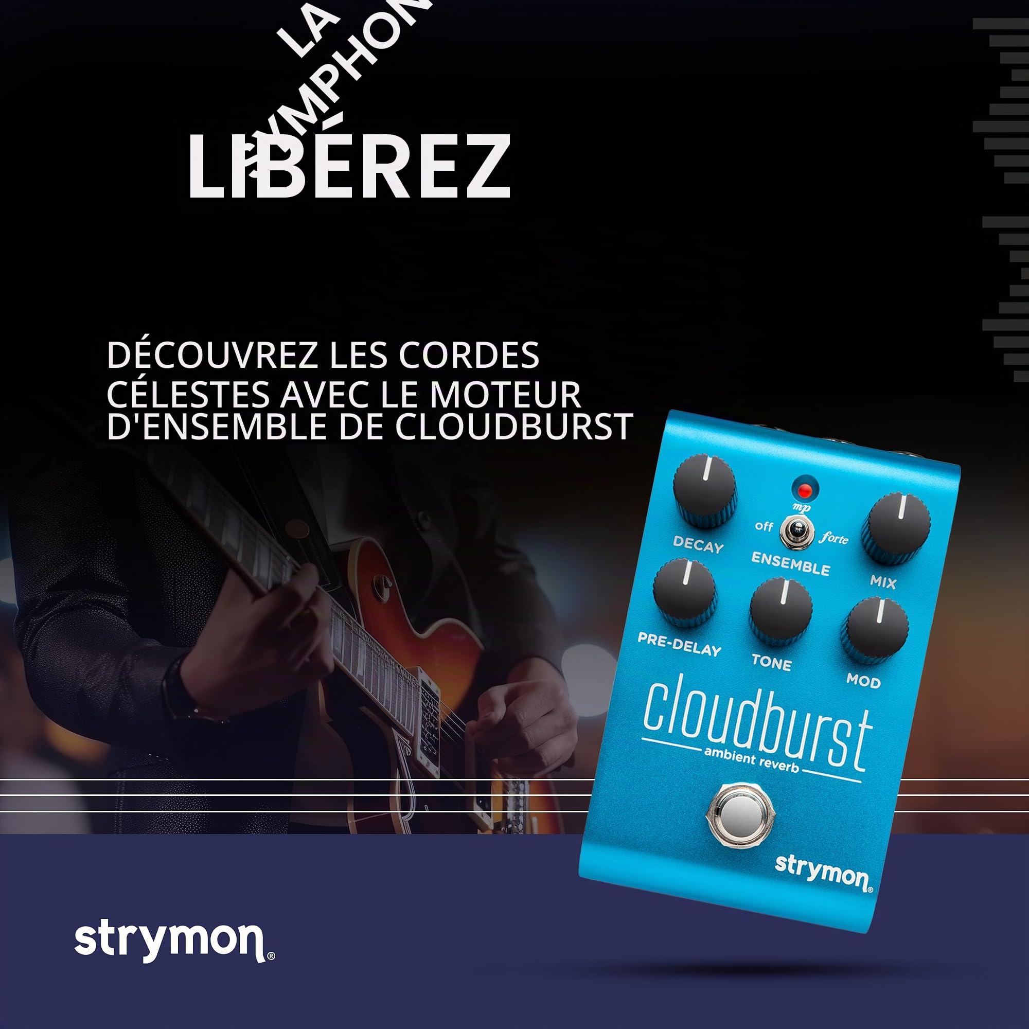 Strymon Cloudburst