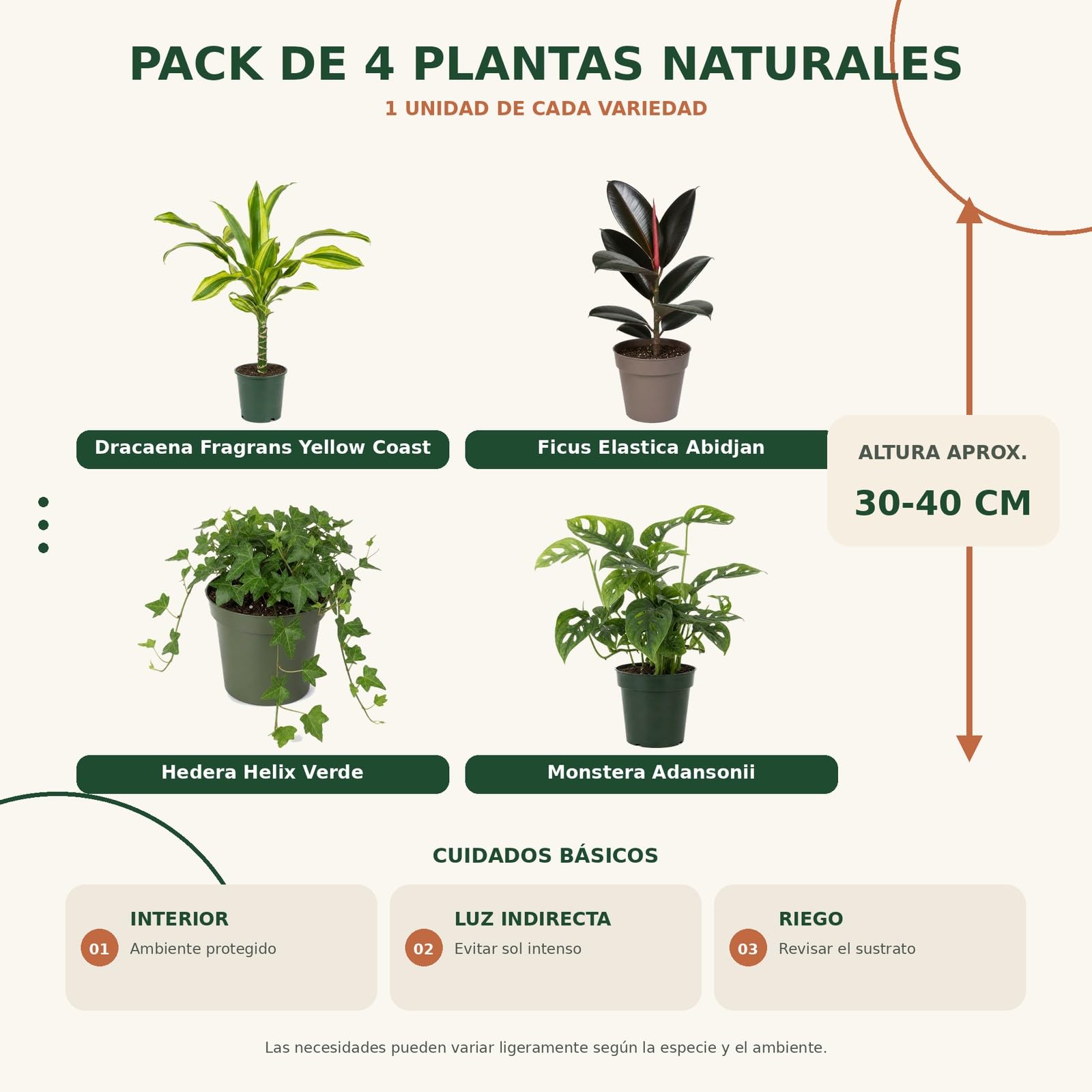 DECOALIVE Pack 4 Plantas de Interior para Rincones con Plantas