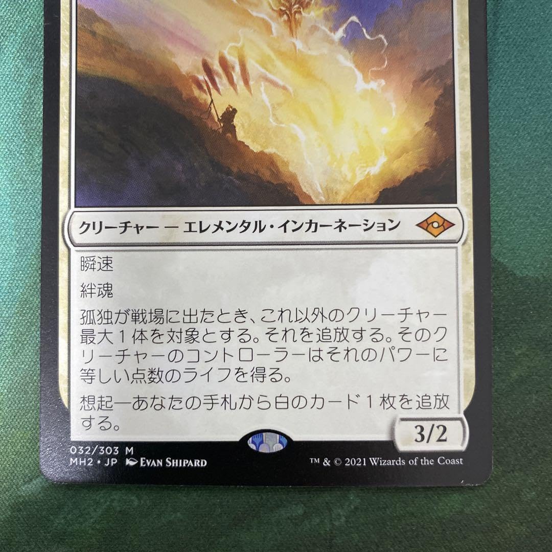 Amazon.co.jp: MTG 孤独 日本語 : ホーム＆キッチン