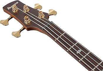 Amazon.com: Ibanez SR3500 Prestige 4-String Bass Guitar, Rosewood