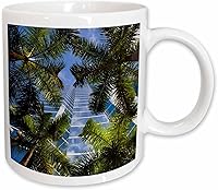 Vista 8 de 3dRose Estados Unidos, Florida, Miami, Brickell Avenue, edificios de gran altura. Taza negra de dos tonos de 11 oz