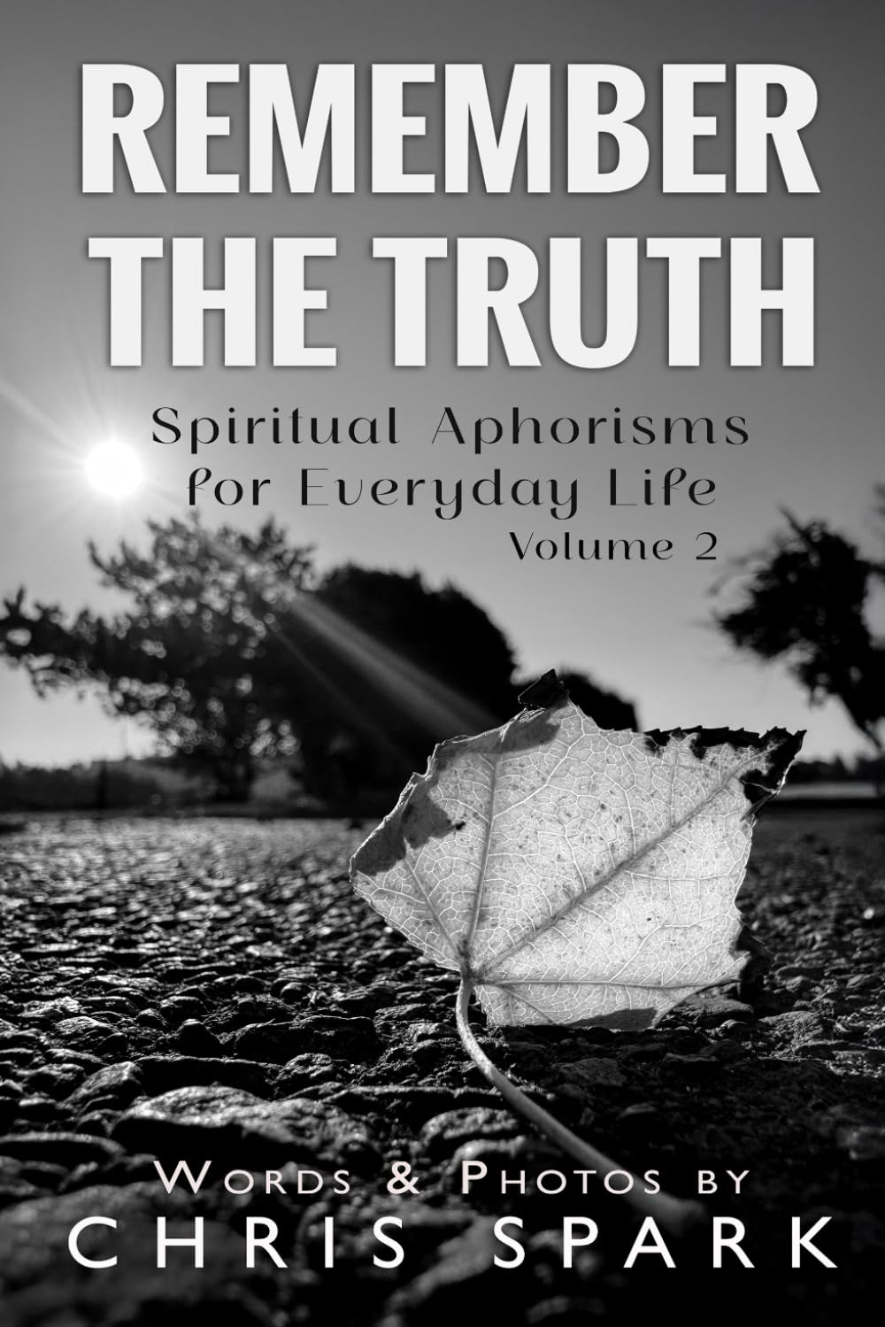 Remember the Truth: Spiritual Aphorisms for Everyday Life - Volume 2