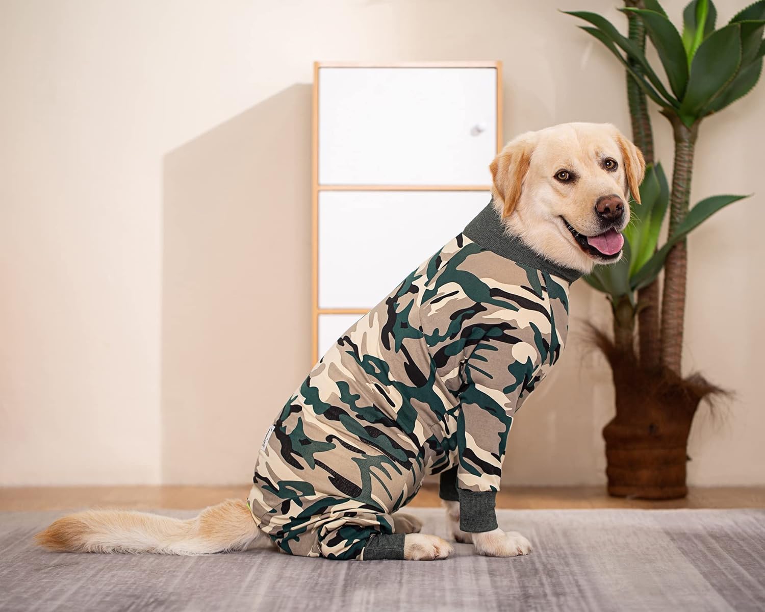 Pigiama tuta per cane - Tuta leggera in cotone anti-pelo per recupero post-chirurgico - Taglia media e grande_30 (Mimetismo bianco)