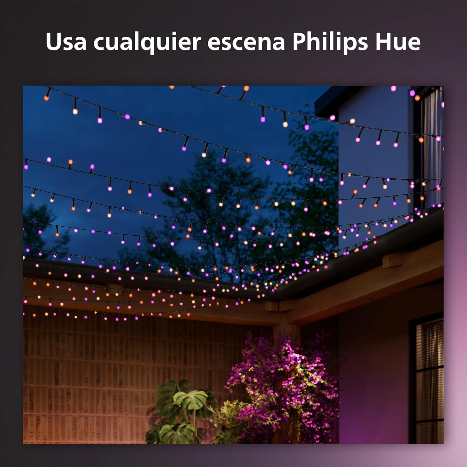 Philips Hue Guirnalda Festavia, Luz Blanca y de Colores, Regulable, 250 Micro LEDs, 20 m, Resistente al Agua, Compatible con Amazon Alexa, Echo, Echo Dot