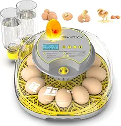 Incubadora para incubação de ovos - capacidade de 12 ovos, virador automático de ovos, controle de temperatura e umidade, visualização de 360° para ovos de galinha, pato e codorna