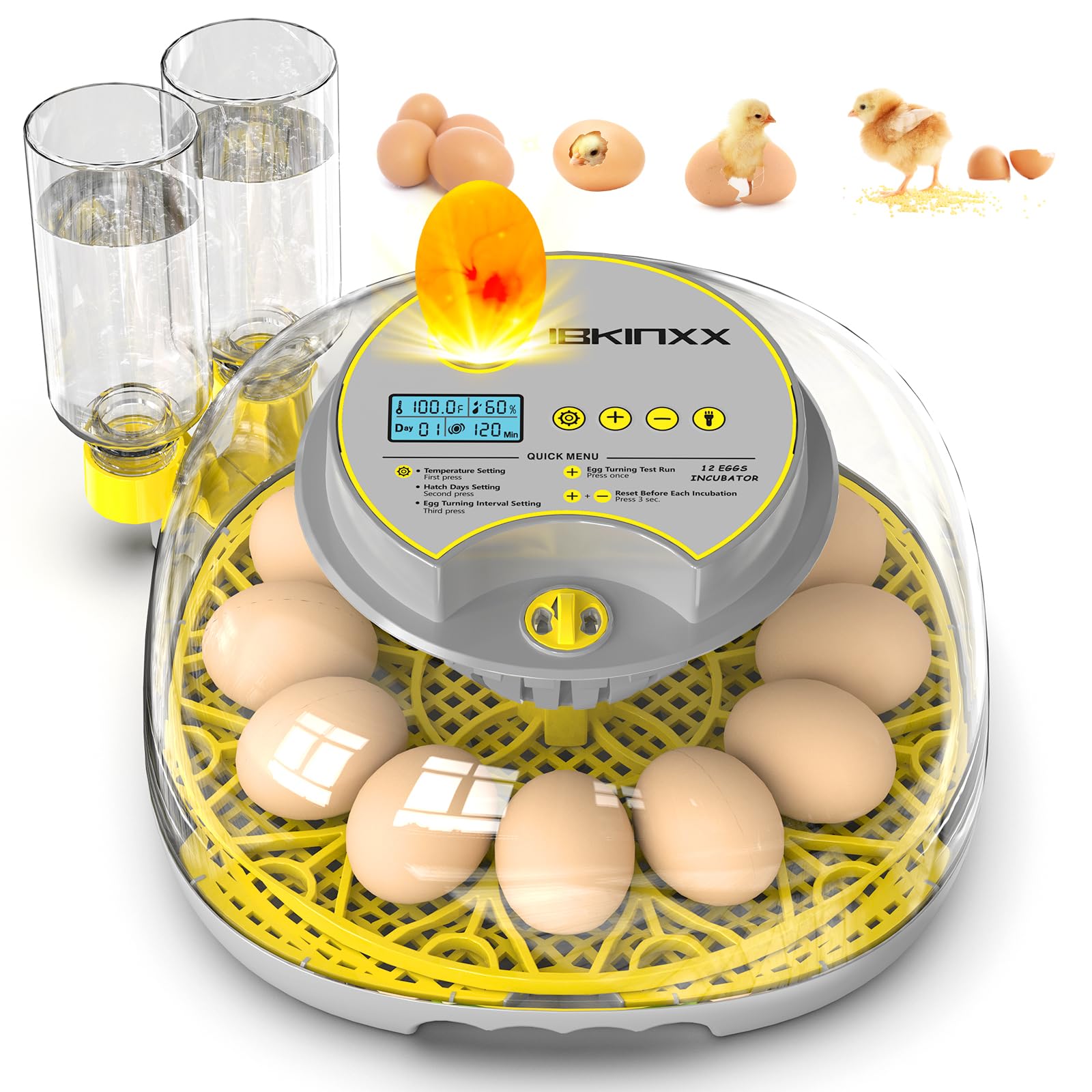 IBKINXX Incubator for Hatching Eggs-12 Egg Capacity, Automatic Egg Turner, Temperature & Humidity Control, 360° Viewing for Chicken, Duck and Quail