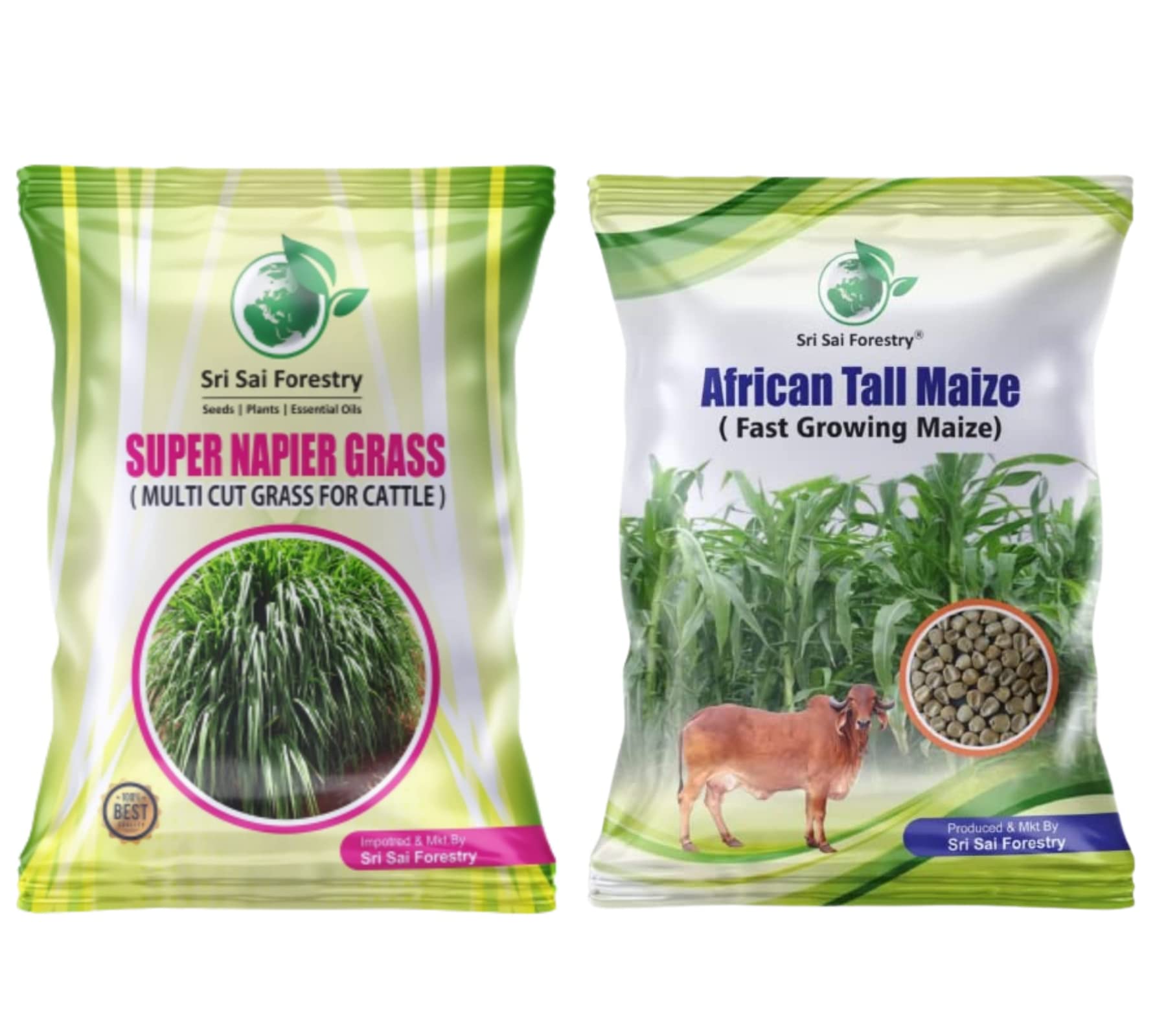 SRI SAI FORESTRY Super Napier Grass Seeds | African Tall Maize Seeds | Combo Pack - 200g | Animal Fodder High Yield Multi Cut Grass Seed (B0BCM1J53W) Amazon Price History, Amazon Price Tracker