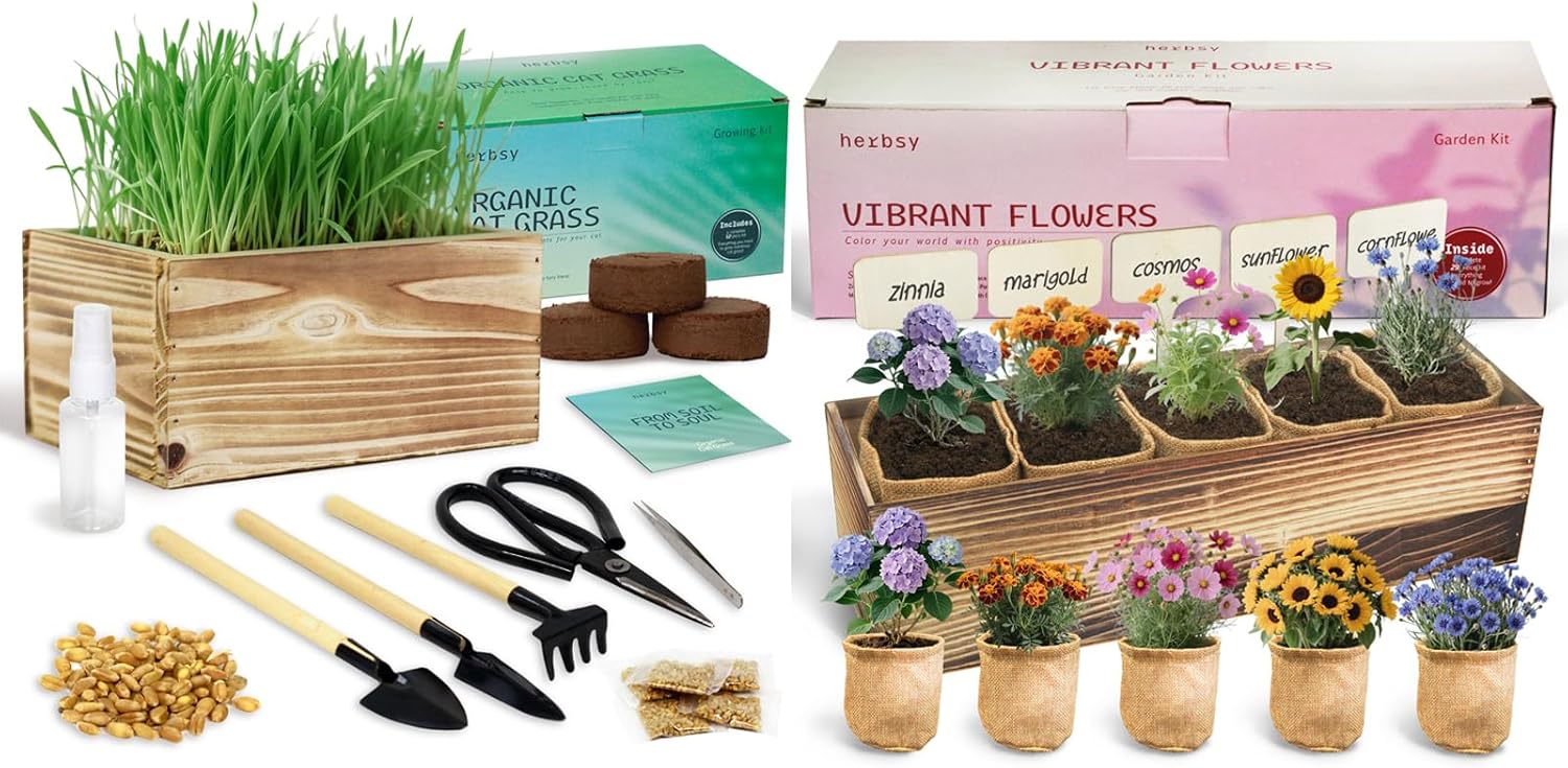5 Indoor Flower Growing Kit with Cat Grass Kit