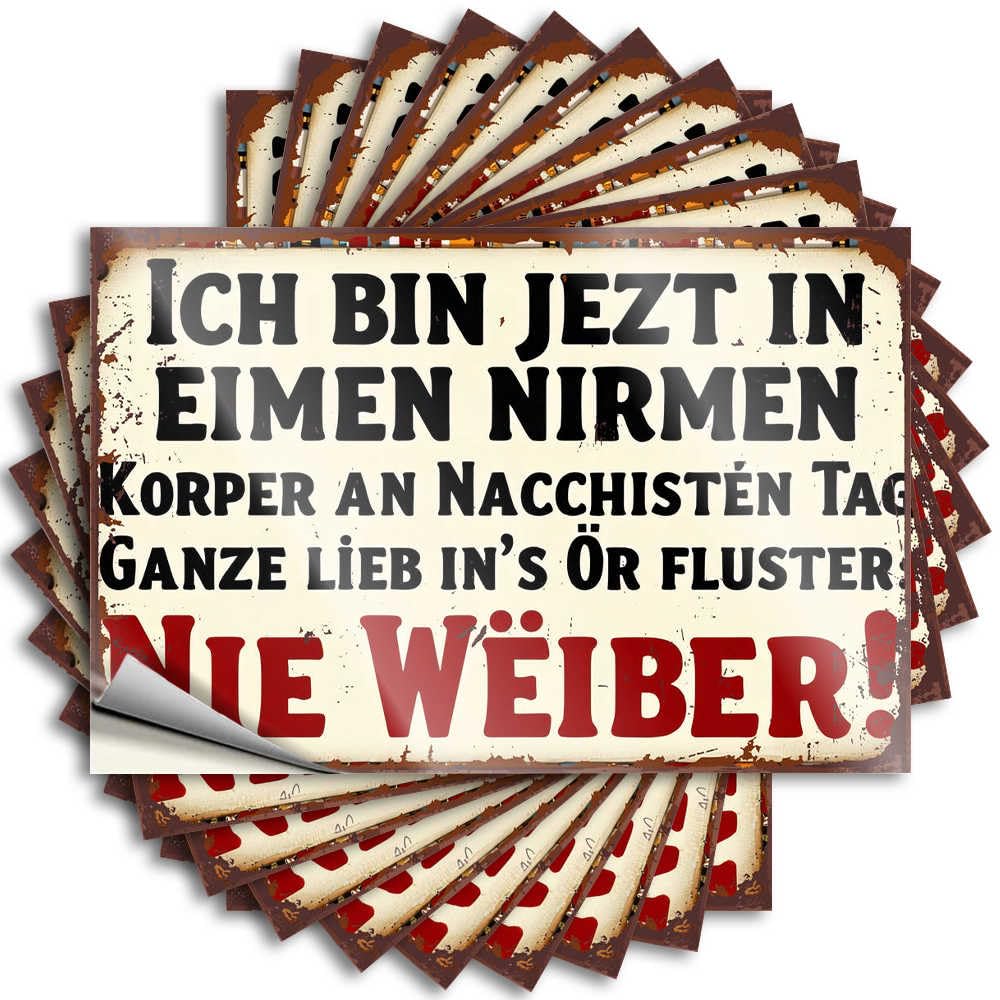 Core Bumper Aesthetic Decals, Retro Kitchen Decor Cute Pattern Design for Hunting Notebook | Wall Removable Vinyl German Humor: A Sign About Women's Secrets(8X12CM)