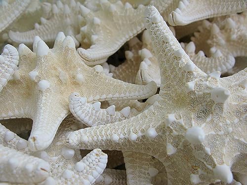 buyartforless CAN BF2805 - Lienzo decorativo para pared, 12 x 16 GW, color blanco