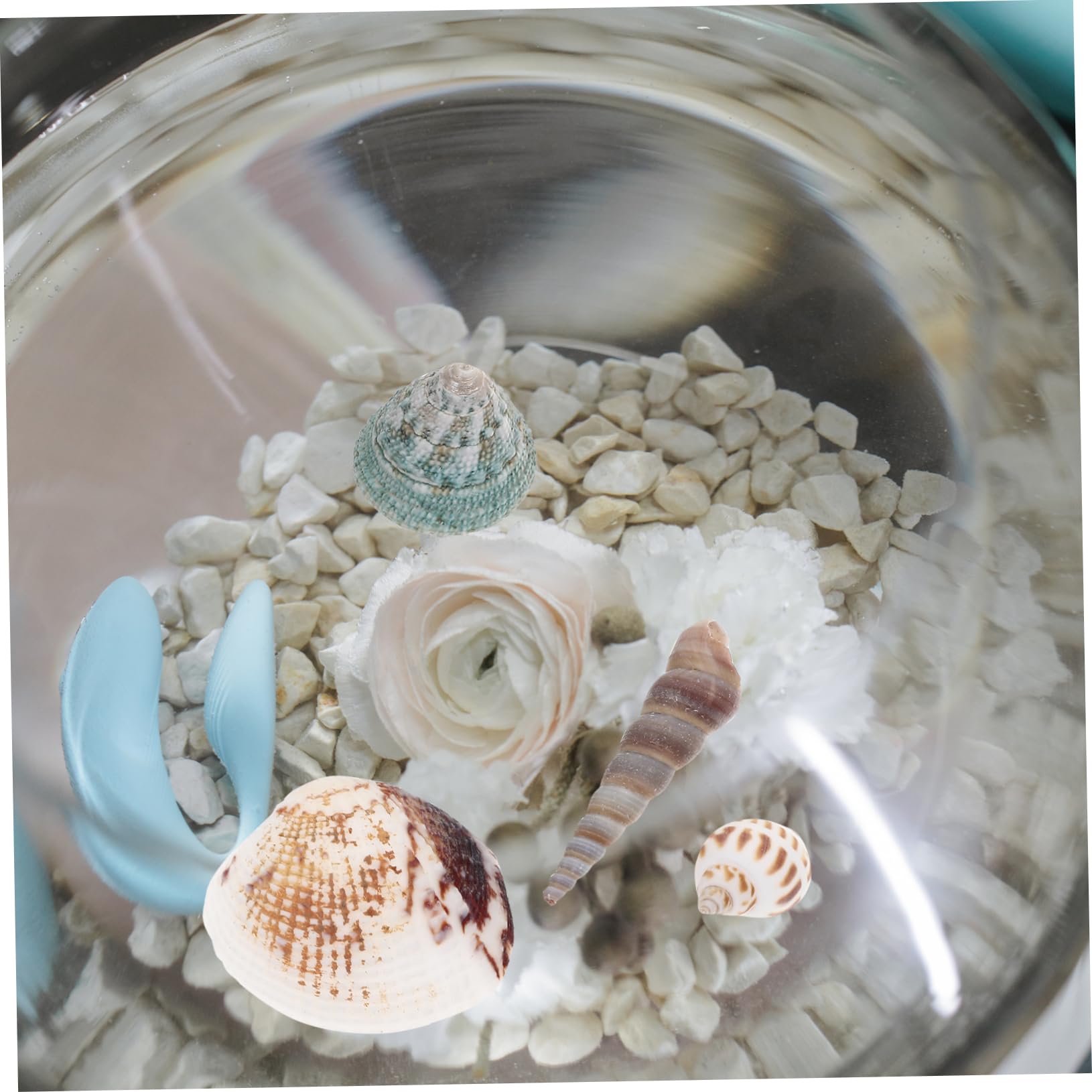 貝殻花瓶、工芸品 貝殻花瓶、工芸品