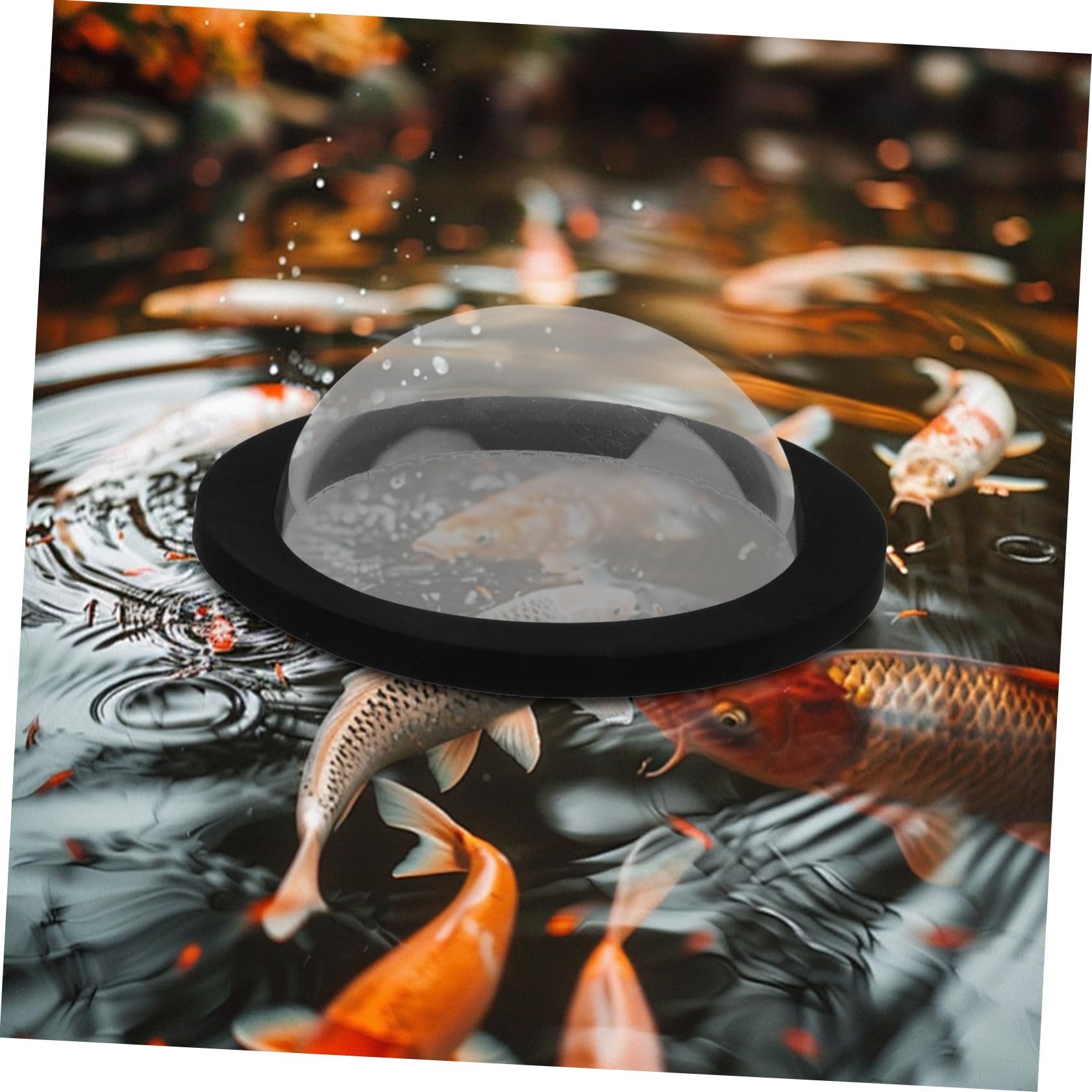 Alipis 4 Sätze Schwimmende Abdeckung für Aquarien schwimmende Pflanzenringe Schwimmende Wasserlinsenringe für Aquarien Aquarium Pflanzenring Aquarien Futterring Aquarienpflanzenringe