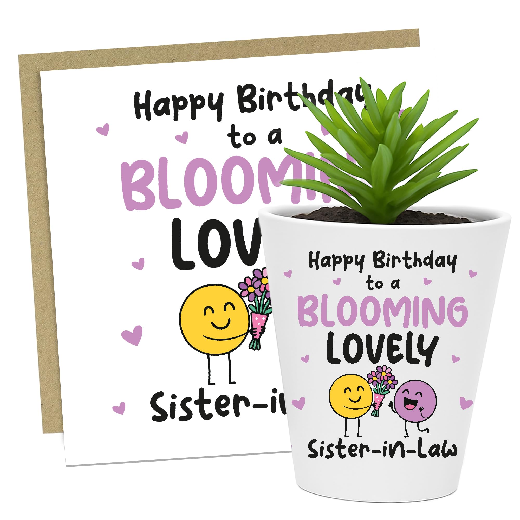 RED OCEAN Birthday For Sister In Law BLOOMING LOVELY SISTER IN LAW Card And Plant Pot Thank You For Birthday Card Keepsake